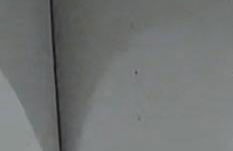 CENTRAL STATION APARTMENTS TROPEA - 200 Meters from the Train - Steps from the Main Street - Photo 1