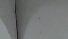 CENTRAL STATION APARTMENTS TROPEA - 200 Meters from the Train - Steps from the Main Street - Photo 1