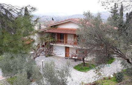 Σπίτι σε ελαιώνα, house in an olive grove - Foto 25