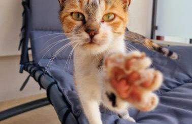 Apartman Kristina - Photo 27