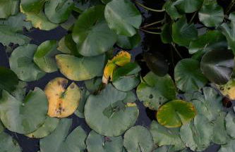 Secluded escape with hot tub, pizza oven, fireplace - Foto 17