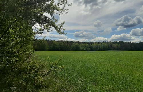 GREEN HOUSE - Foto 60