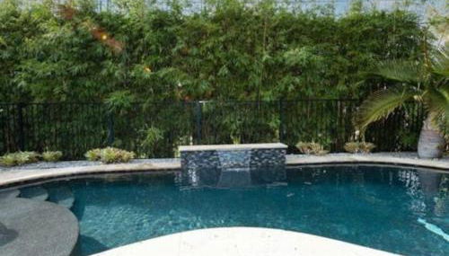 Blue Heaven in the Heart of Stuart Heat salt pool - Photo 5