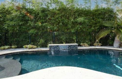 Blue Heaven in the Heart of Stuart Heat salt pool - Foto 5