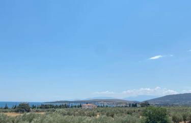 Georges Villa Galaxidi, family, pool and garden - Foto 21