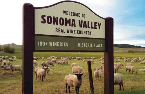 Enchanting Sonoma Wine Country Retreat 3BD2BA - Foto 14