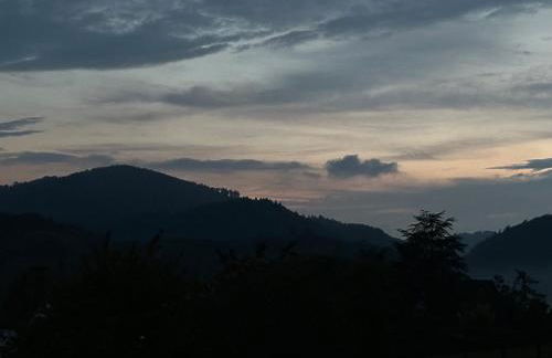 Ebenerdige Ferienwohnung im Luftkurort Dodenau - Foto 2