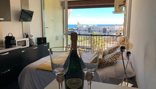 BAGATELLE NATURISTE HELIOPOLIS clim ascenseur vue mer parking privé - Foto 2