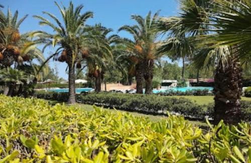 Tra Ulivi E Mare - Foto 24