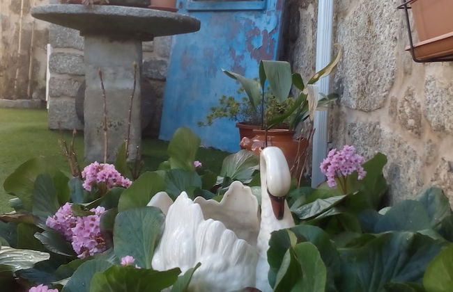 Casas do Durão - Foto 44