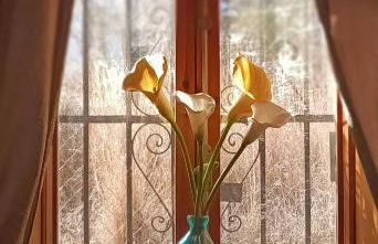 Casa Mariseta y Tonet, naturaleza a 2 km del mar - Foto 43