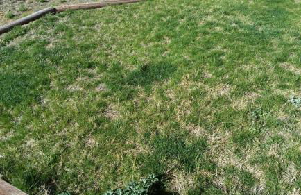 Chisolm Trail Villa - Foto 27