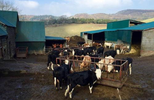 The Shippen - Open-plan barn conversion, high-spec, stunning views - Foto 14