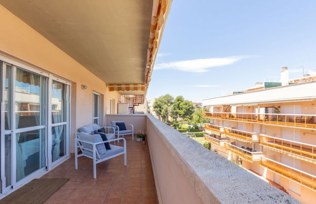 Bosc de la Montserrada - Foto 18