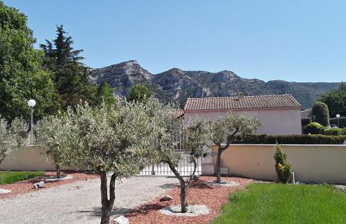 Le Jardin des Tourterelles - Foto 3