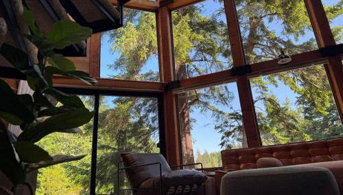 Glass House - Foto 5, Garden view