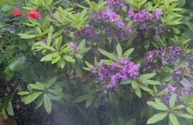 Apartment am Grünen Ring - Foto 4