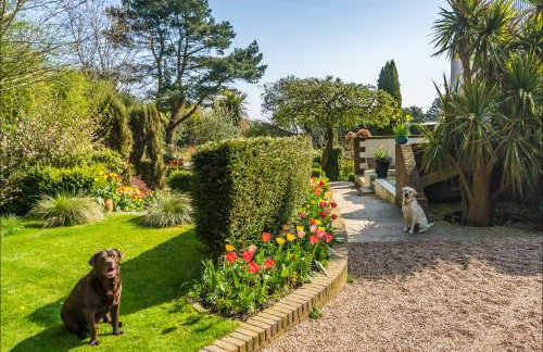 Swallows Nest - Covehurst Bay Cottage - Foto 36