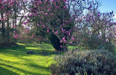 La petite maison dans la prairie - Photo 10