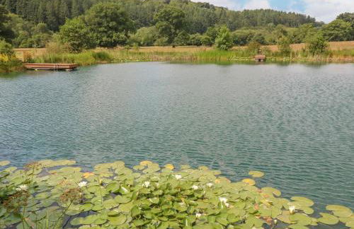 Tan Yr Allt - Foto 57