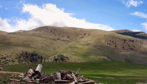 Les Forques de'n Pep - Foto 4