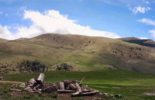 Les Forques de'n Pep - Foto 4