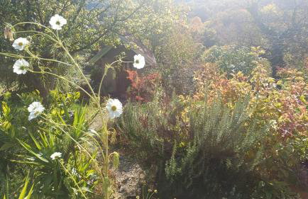 Private House with View near Samobor Ideal for Couples & Pets - Photo 4