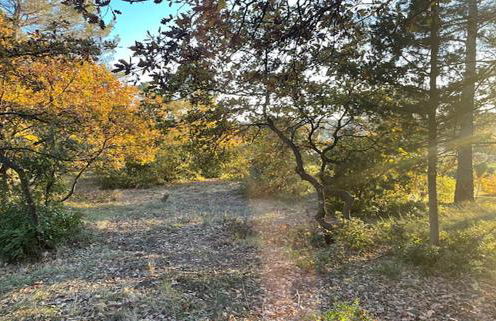 Gîte du Jonquas - Foto 21