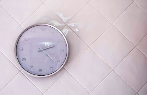 La Casa De La Vega - Foto 13