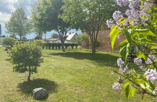 Ferienwohnung Müritzkoje an der Müritz - Foto 16