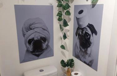 Apartamento, Studio, Loft - GO Rio Branco, próximo HCPA e HPS - Foto 25