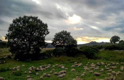 Apartament Bellserrat - Foto 51