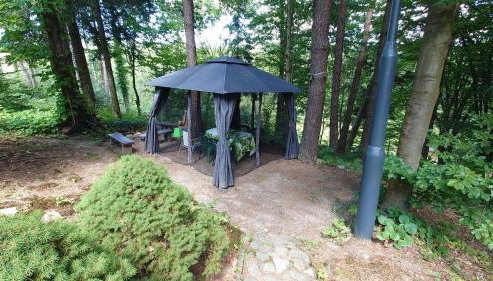 Rysiówka - Photo 4, Garden