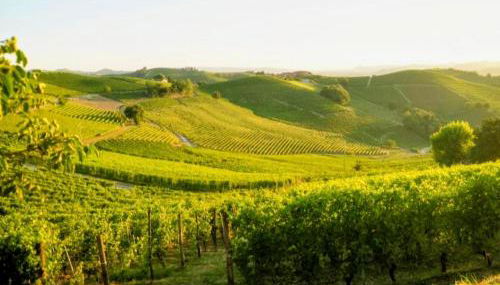 La casa delle Langhe - Foto 2