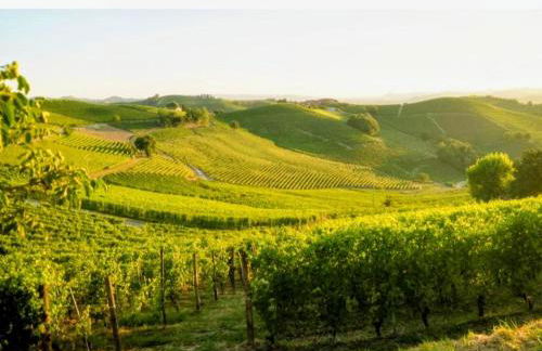 La casa delle Langhe - Foto 2