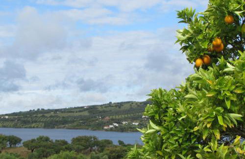 Monte da Tojeirinha - Foto 26