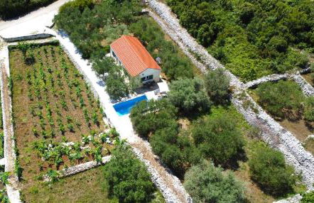 Vineyard House & Olive Grove House - Photo 63