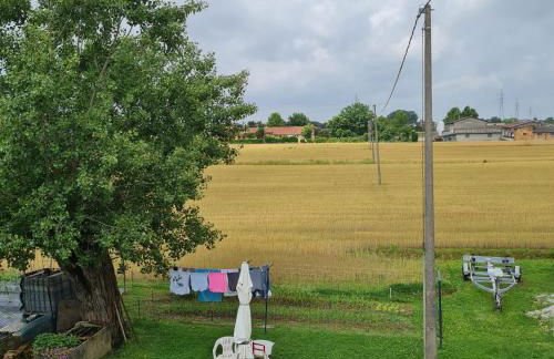 Il Gufetto - Photo 15