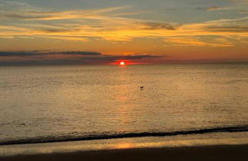 Miami Beach Villas NJ Loft Style Cottage - Foto 17