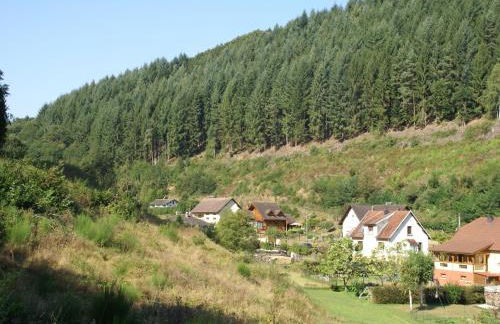 Ventron Chalet with Hill Views - Foto 28