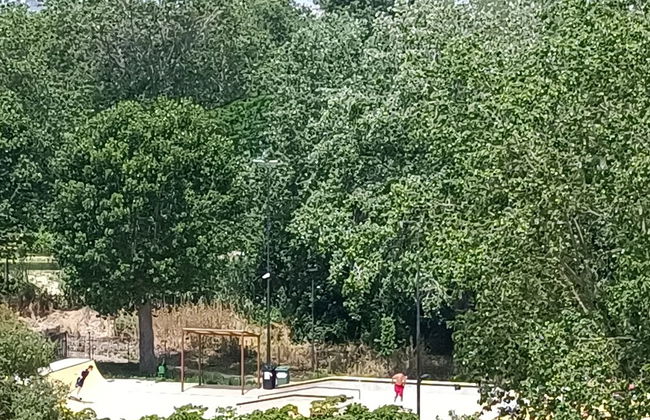 Seafront Apartment for Rent 6 Sleeps Skyscraper - Foto 24