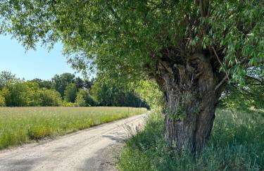 Masuria Warsaw Family - dom na wyłączność - w lesie i przy rzece - 15 min od Warszawy - idealny dla rodzin z dziećmi - Foto 38