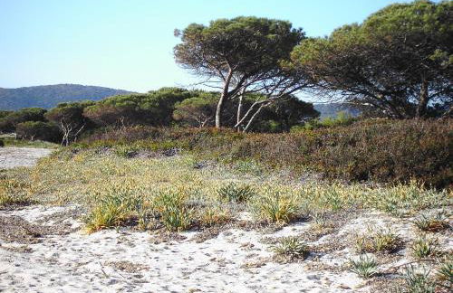 La Cuppulata - Foto 6