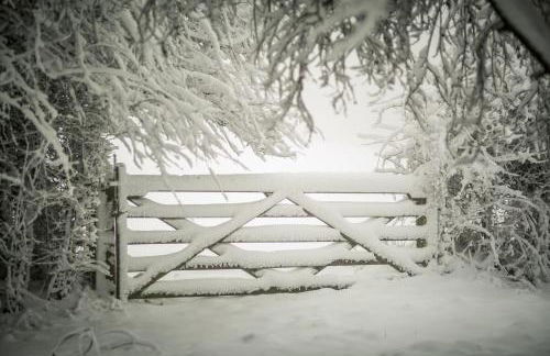 The Organic Cotswolds Cowshed - Photo 56