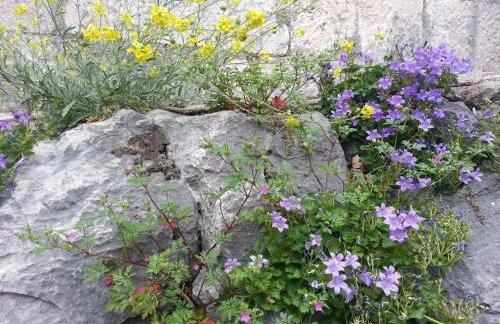 Holiday Home Paradise Beach - Foto 41