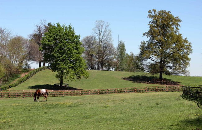 La Cucchetta - Foto 29