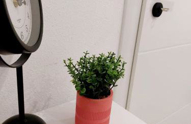 Sea Paradise Charly - Foto 11