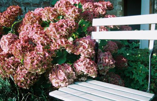 Bramley Cottage - Foto 11