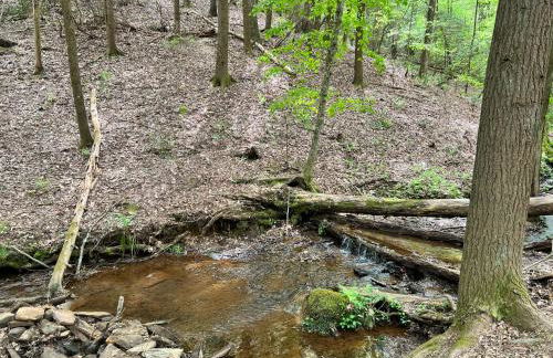 Log Cabin with Mountain View and Privacy - Foto 57