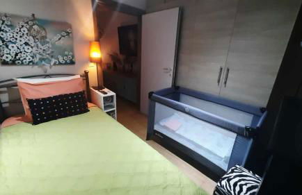 Zoe garden home - Photo 24